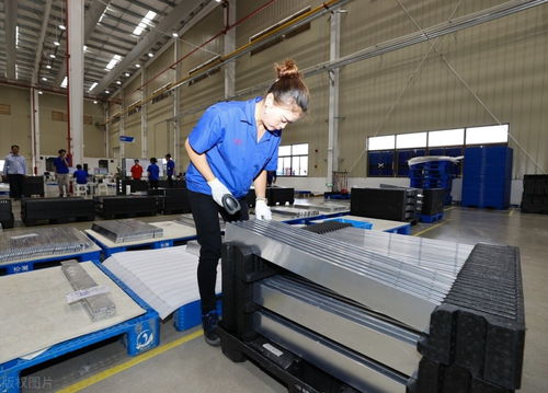 16萬(wàn)的特斯拉即將問(wèn)世，國(guó)產(chǎn)汽車(chē)與日用品市場(chǎng)的雙重機(jī)遇與挑戰(zhàn)